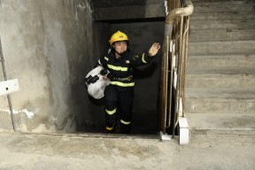 包含棒球季后赛，蓬莱海豚队与漓江铁骑队逆转，体能对抗拉满！定海神针仍在的词条